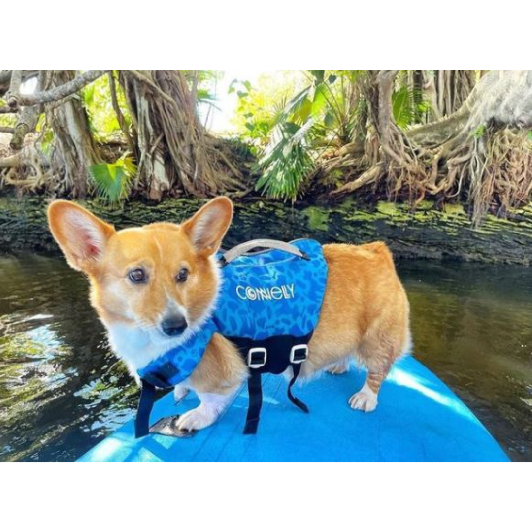 Connelly Inflatable SUP's Dog Neo Life Vests